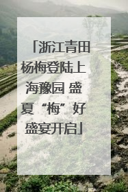 浙江青田杨梅登陆上海豫园 盛夏“梅”好盛宴开启