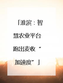 淮滨：智慧农业平台跑出麦收“加速度”