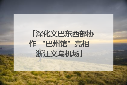 深化义巴东西部协作 “巴州馆”亮相浙江义乌机场