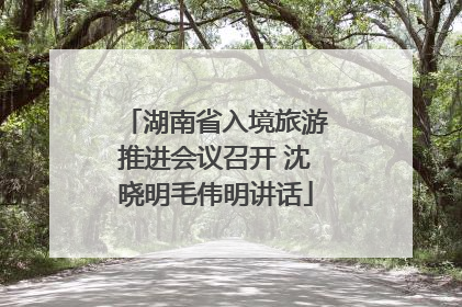 湖南省入境旅游推进会议召开 沈晓明毛伟明讲话