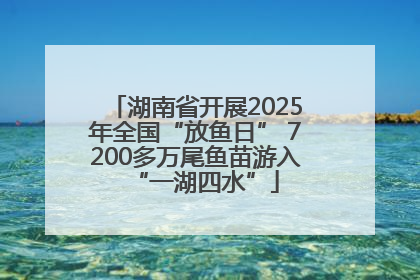 湖南省开展2025年全国“放鱼日” 7200多万尾鱼苗游入“一湖四水”