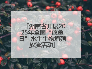湖南省开展2025年全国“放鱼日”水生生物增殖放流活动