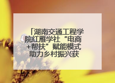 湖南交通工程学院红雁学社“电商+帮扶”赋能模式 助力乡村振兴获帮扶乡镇好评
