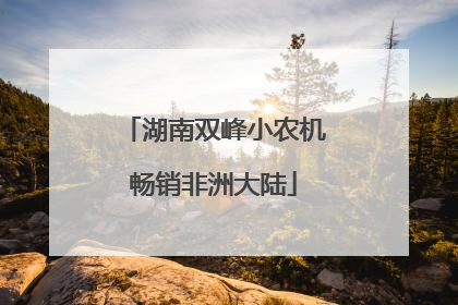 湖南双峰小农机畅销非洲大陆