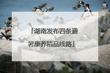 湖南发布四条避暑康养精品线路