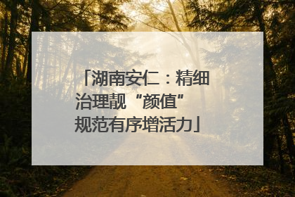 湖南安仁：精细治理靓“颜值” 规范有序增活力