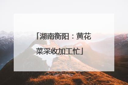 湖南衡阳：黄花菜采收加工忙