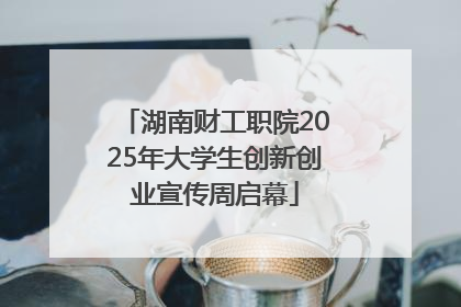 湖南财工职院2025年大学生创新创业宣传周启幕