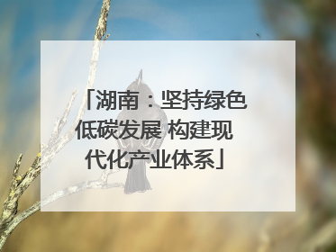 湖南：坚持绿色低碳发展 构建现代化产业体系