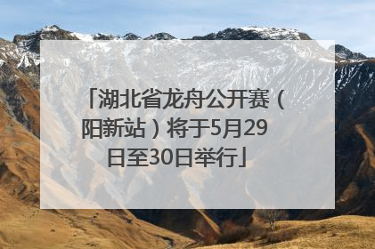 湖北省龙舟公开赛（阳新站）将于5月29日至30日举行