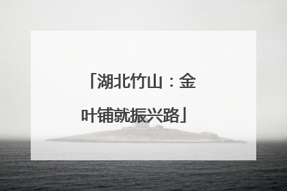 湖北竹山：金叶铺就振兴路