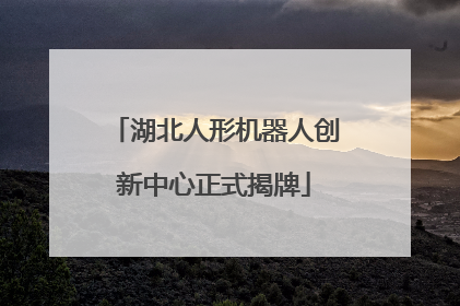 湖北人形机器人创新中心正式揭牌