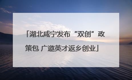 湖北咸宁发布“双创”政策包 广邀英才返乡创业