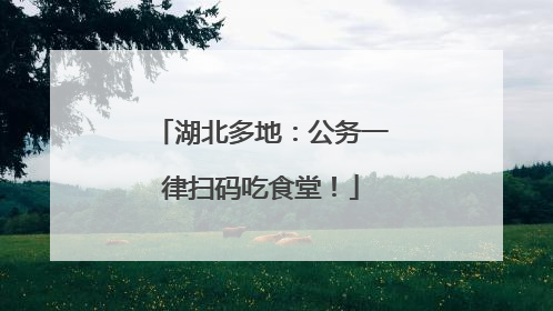 湖北多地：公务一律扫码吃食堂！