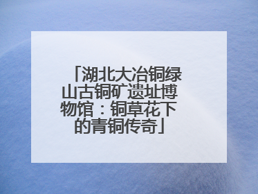 湖北大冶铜绿山古铜矿遗址博物馆：铜草花下的青铜传奇
