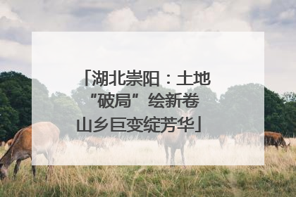 湖北崇阳：土地“破局”绘新卷 山乡巨变绽芳华