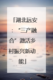 湖北远安：“三产融合”激活乡村振兴新动能