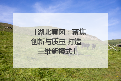 湖北黄冈：聚焦创新与质量 打造三维新模式