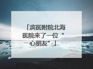 滨医附院北海医院来了一位“心朋友”