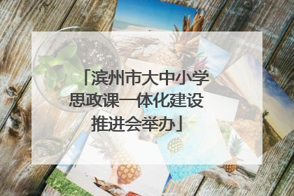 滨州市大中小学思政课一体化建设推进会举办