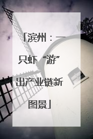 滨州：一只虾“游”出产业链新图景