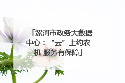 漯河市政务大数据中心：“云”上约农机 服务有保障