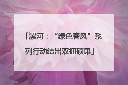 漯河：“绿色春风”系列行动结出双拥硕果