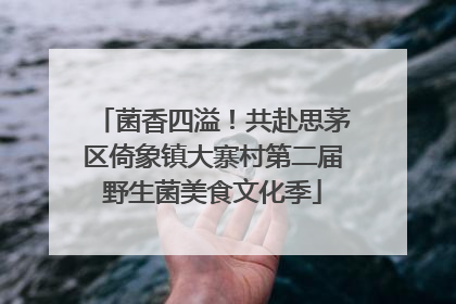 菌香四溢！共赴思茅区倚象镇大寨村第二届野生菌美食文化季