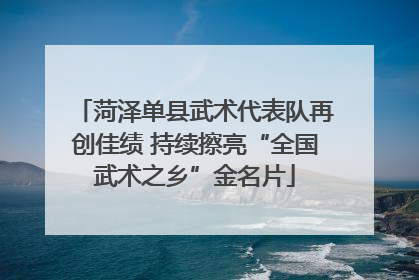 菏泽单县武术代表队再创佳绩 持续擦亮“全国武术之乡”金名片