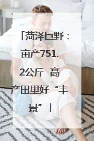菏泽巨野：亩产751.2公斤  高产田里好“丰景”