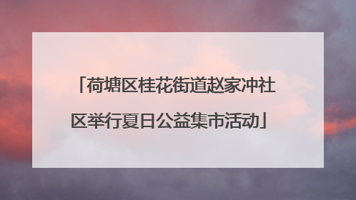 荷塘区桂花街道赵家冲社区举行夏日公益集市活动
