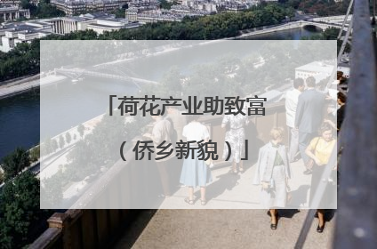 荷花产业助致富（侨乡新貌）