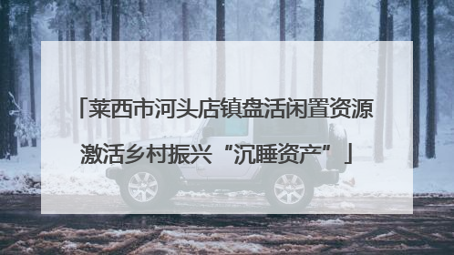 莱西市河头店镇盘活闲置资源 激活乡村振兴“沉睡资产”