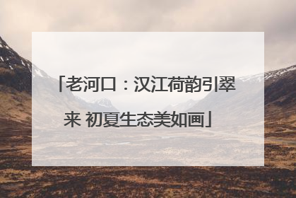 老河口：汉江荷韵引翠来 初夏生态美如画