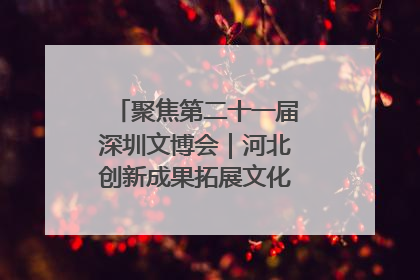 聚焦第二十一届深圳文博会｜河北创新成果拓展文化产业“朋友圈”