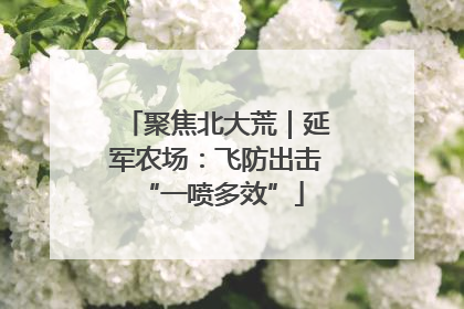 聚焦北大荒｜延军农场：飞防出击 “一喷多效”