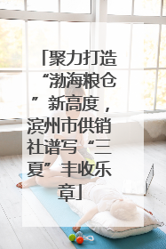 聚力打造“渤海粮仓”新高度，滨州市供销社谱写“三夏”丰收乐章