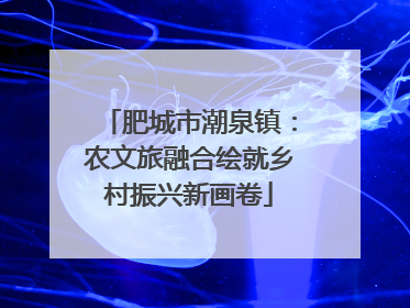 肥城市潮泉镇：农文旅融合绘就乡村振兴新画卷