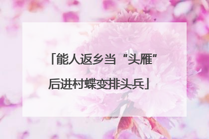 能人返乡当“头雁” 后进村蝶变排头兵