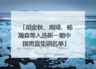 胡金秋、周琦、杨瀚森等入选新一期中国男篮集训名单