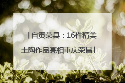 自贡荣县：16件精美土陶作品亮相重庆荣昌