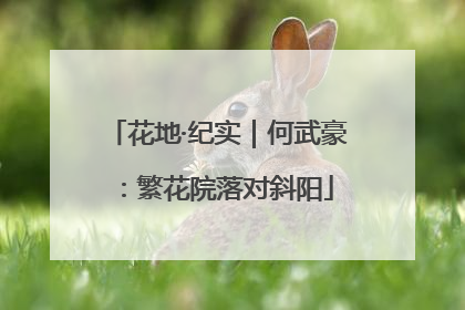 花地·纪实｜何武豪：繁花院落对斜阳