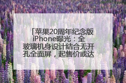 苹果20周年纪念版iPhone曝光：全玻璃机身设计结合无开孔全面屏，起售价或达1.45万人民币