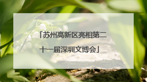 苏州高新区亮相第二十一届深圳文博会