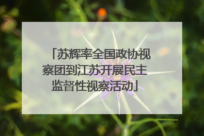 苏辉率全国政协视察团到江苏开展民主监督性视察活动