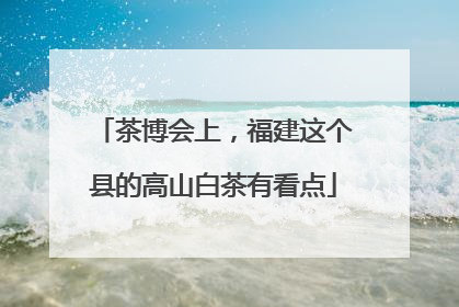 茶博会上，福建这个县的高山白茶有看点
