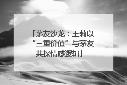 茅友沙龙：王莉以“三重价值”与茅友共探情感逻辑