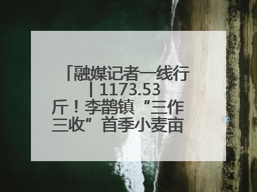 融媒记者一线行丨1173.53斤！李鹊镇“三作三收”首季小麦亩产创新高