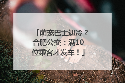 萌宠巴士遇冷？合肥公交：满10位乘客才发车！