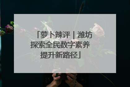 萝卜辣评｜潍坊探索全民数字素养提升新路径